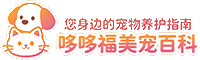 安枢哆哆福美宠百科