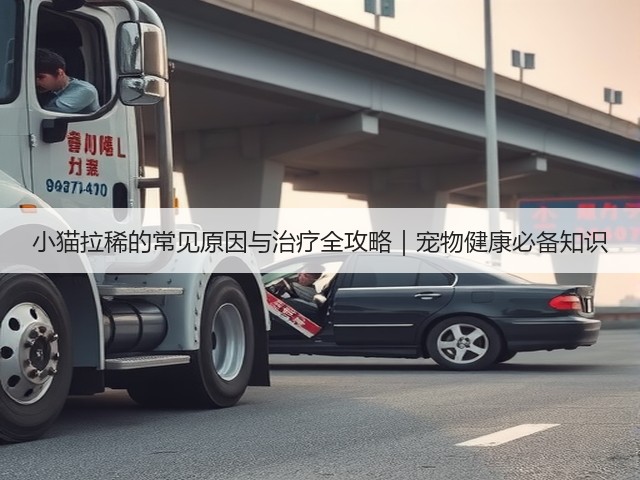 小猫拉稀的常见原因与治疗全攻略|宠物健康必备知识(图1) 小猫拉稀的常见原因与治疗全攻略|宠物健康必备知识(图1)
