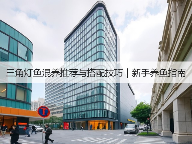 三角灯鱼混养推荐与搭配技巧|新手养鱼指南(图3) 三角灯鱼混养推荐与搭配技巧|新手养鱼指南(图3)