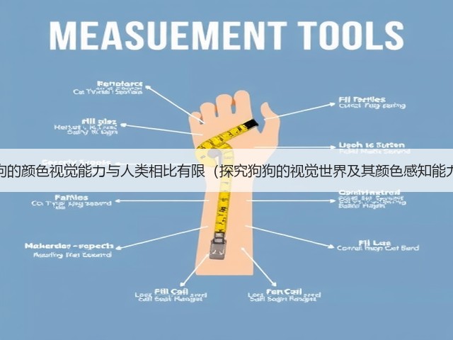 狗狗的颜色视觉能力与人类相比有限(探究狗狗的视觉世界及其颜色感知能力)(图3) 狗狗的颜色视觉能力与人类相比有限(探究狗狗的视觉世界及其颜色感知能力)(图3)
