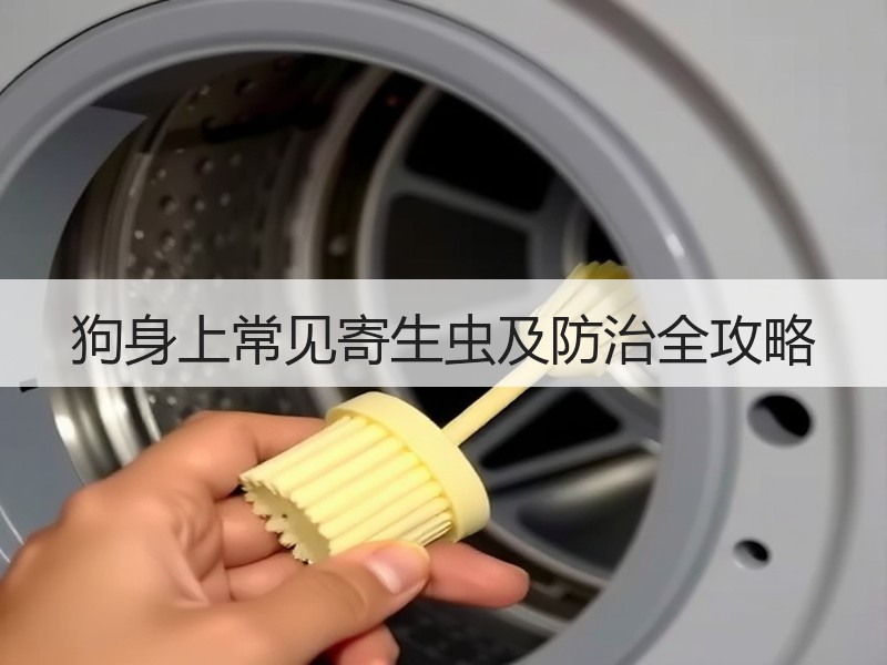 狗身上常见寄生虫及防治全攻略