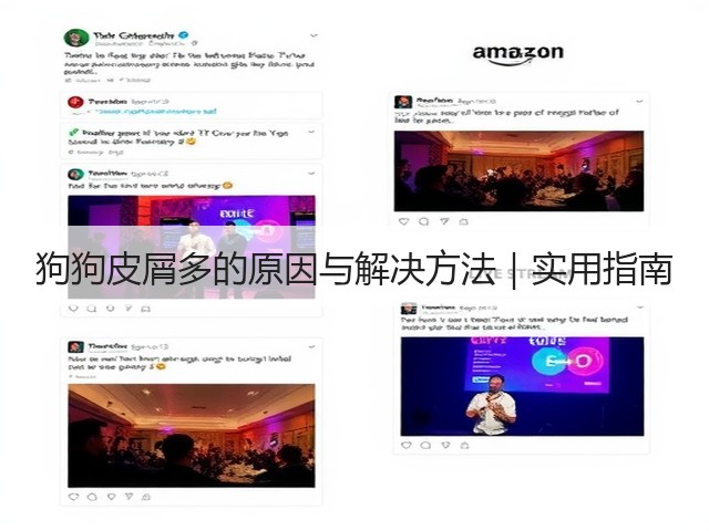 狗狗皮屑多的原因与解决方法|实用指南(图1) 狗狗皮屑多的原因与解决方法|实用指南(图1)