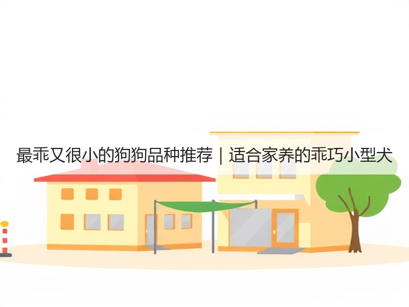 最乖又很小的狗狗品种推荐｜适合家养的乖巧小型犬