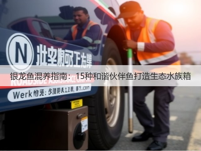 银龙鱼混养指南:15种和谐伙伴鱼打造生态水族箱(图1) 银龙鱼混养指南:15种和谐伙伴鱼打造生态水族箱(图1)