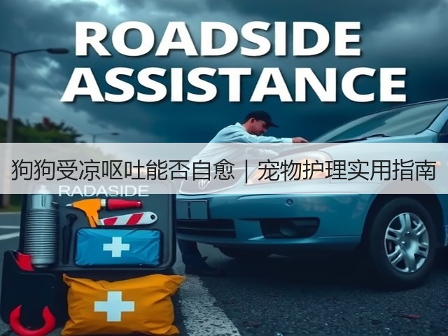 狗狗受凉呕吐能否自愈|宠物护理实用指南(图2) 狗狗受凉呕吐能否自愈|宠物护理实用指南(图2)