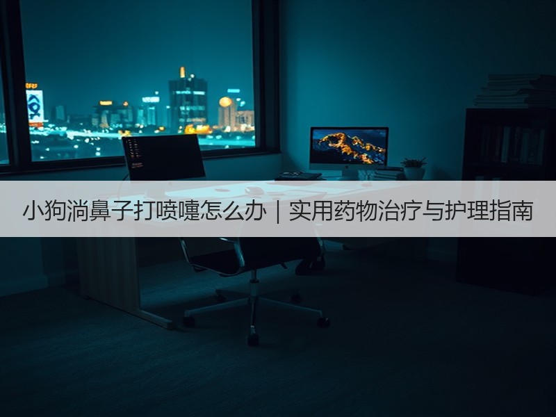 小狗淌鼻子打喷嚏怎么办｜实用药物治疗与护理指南