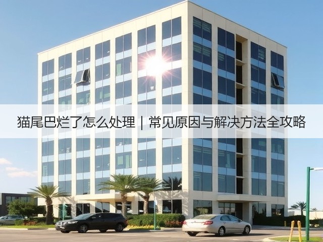 猫尾巴烂了怎么处理｜常见原因与解决方法全攻略(图3)