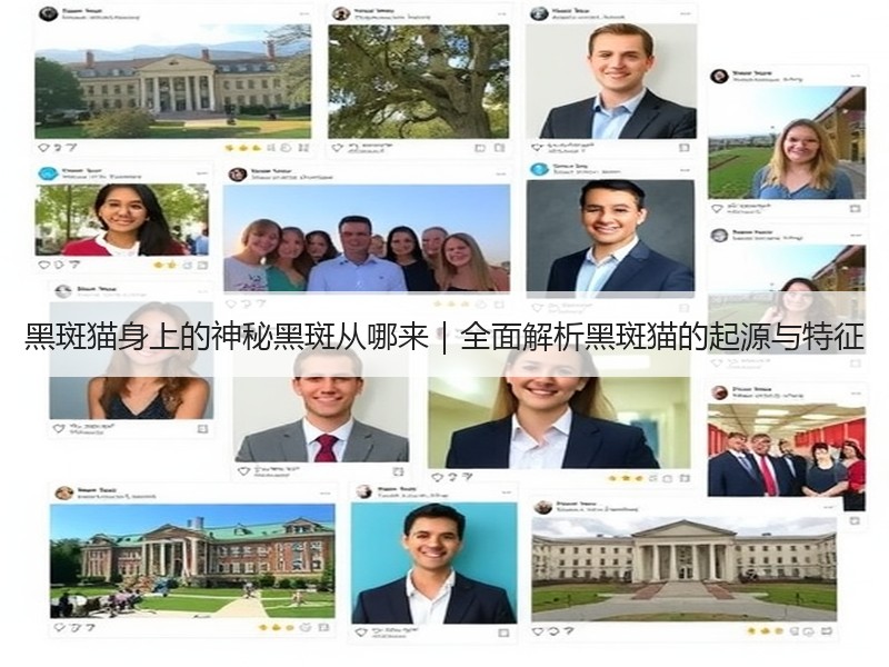黑斑猫身上的神秘黑斑从哪来｜全面解析黑斑猫的起源与特征