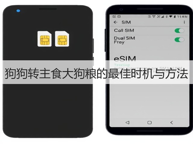 狗狗转主食大狗粮的最佳时机与方法(图1) 狗狗转主食大狗粮的最佳时机与方法(图1)