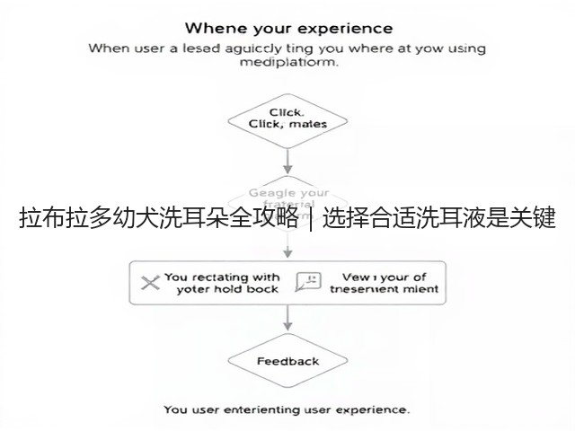 拉布拉多幼犬洗耳朵全攻略|选择合适洗耳液是关键(图3) 拉布拉多幼犬洗耳朵全攻略|选择合适洗耳液是关键(图3)