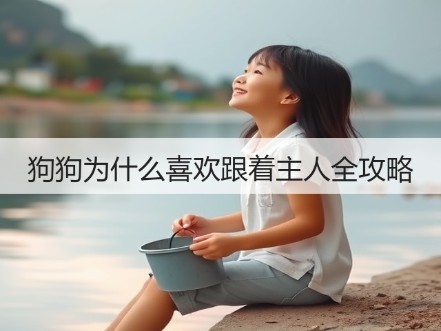 狗狗为什么喜欢跟着主人全攻略(图3) 狗狗为什么喜欢跟着主人全攻略(图3)