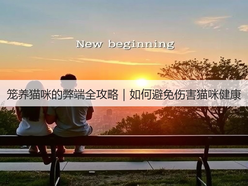 笼养猫咪的弊端全攻略｜如何避免伤害猫咪健康