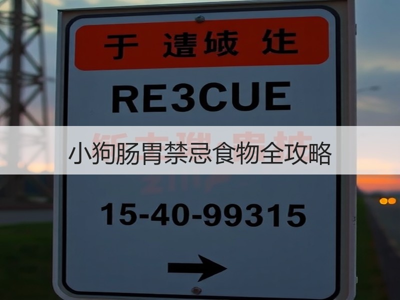 小狗肠胃禁忌食物全攻略