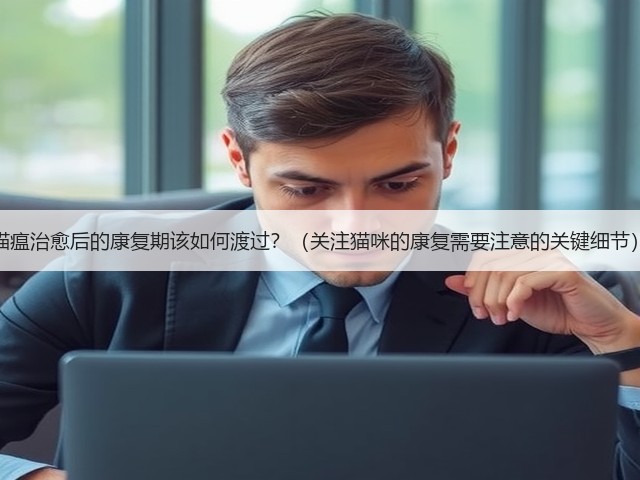 猫瘟治愈后的康复期该如何渡过?(关注猫咪的康复需要注意的关键细节)(图2) 猫瘟治愈后的康复期该如何渡过?(关注猫咪的康复需要注意的关键细节)(图2)