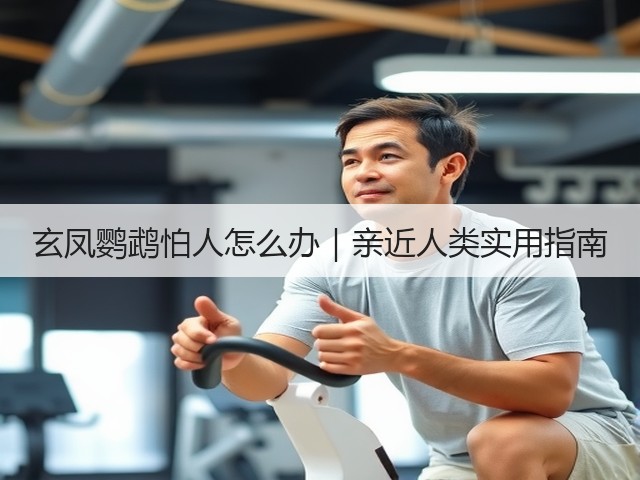 玄凤鹦鹉怕人怎么办|亲近人类实用指南(图2) 玄凤鹦鹉怕人怎么办|亲近人类实用指南(图2)