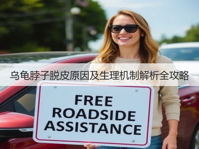 乌龟脖子脱皮原因及生理机制解析全攻略(图3) 乌龟脖子脱皮原因及生理机制解析全攻略(图3)