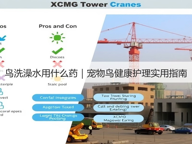 鸟洗澡水用什么药｜宠物鸟健康护理实用指南