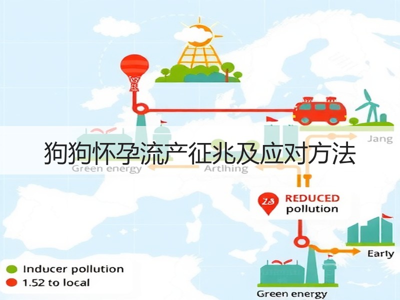 狗狗怀孕流产征兆及应对方法