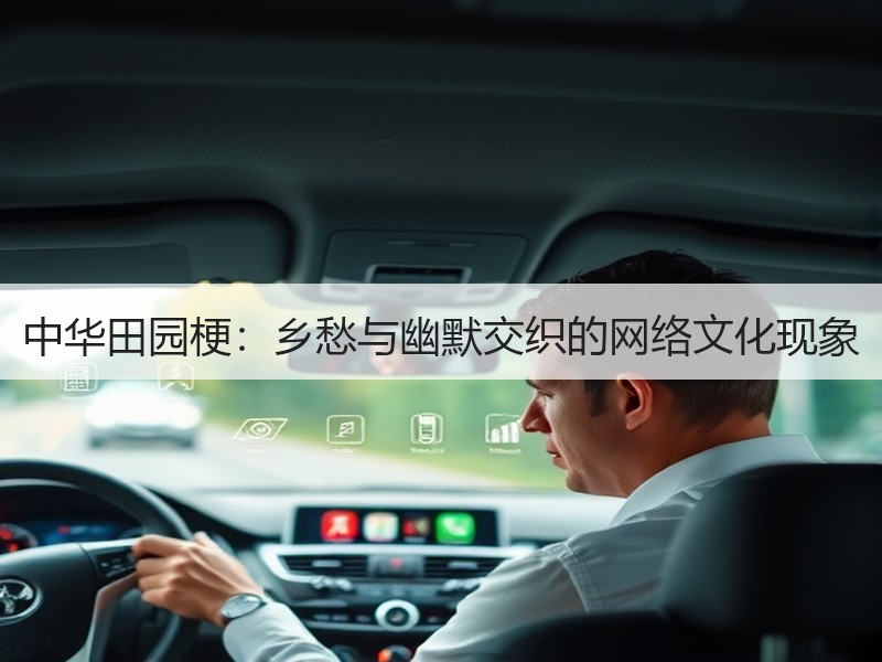 中华田园梗：乡愁与幽默交织的网络文化现象