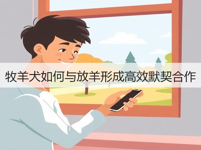 牧羊犬如何与放羊形成高效默契合作(图2) 牧羊犬如何与放羊形成高效默契合作(图2)