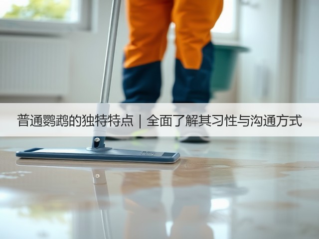 普通鹦鹉的独特特点|全面了解其习性与沟通方式(图3) 普通鹦鹉的独特特点|全面了解其习性与沟通方式(图3)