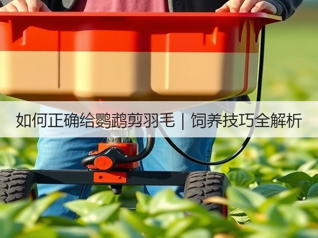 如何正确给鹦鹉剪羽毛|饲养技巧全解析(图2) 如何正确给鹦鹉剪羽毛|饲养技巧全解析(图2)
