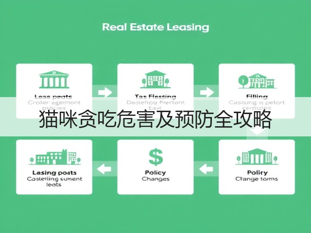 猫咪贪吃危害及预防全攻略(图1) 猫咪贪吃危害及预防全攻略(图1)