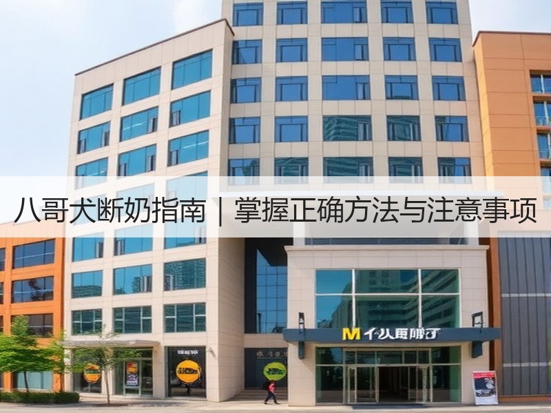八哥犬断奶指南｜掌握正确方法与注意事项