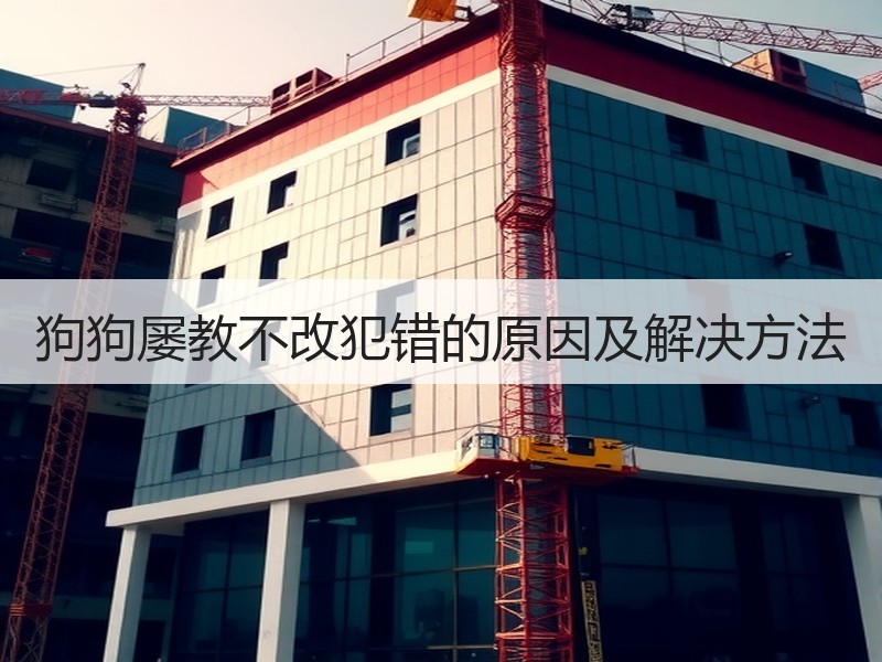 狗狗屡教不改犯错的原因及解决方法