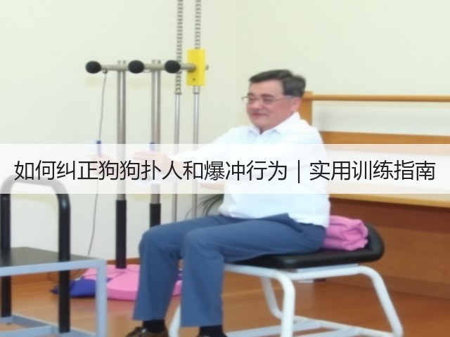 如何纠正狗狗扑人和爆冲行为|实用训练指南(图2) 如何纠正狗狗扑人和爆冲行为|实用训练指南(图2)