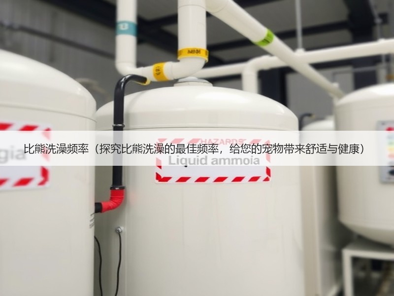 比熊洗澡频率（探究比熊洗澡的最佳频率，给您的宠物带来舒适与健康）