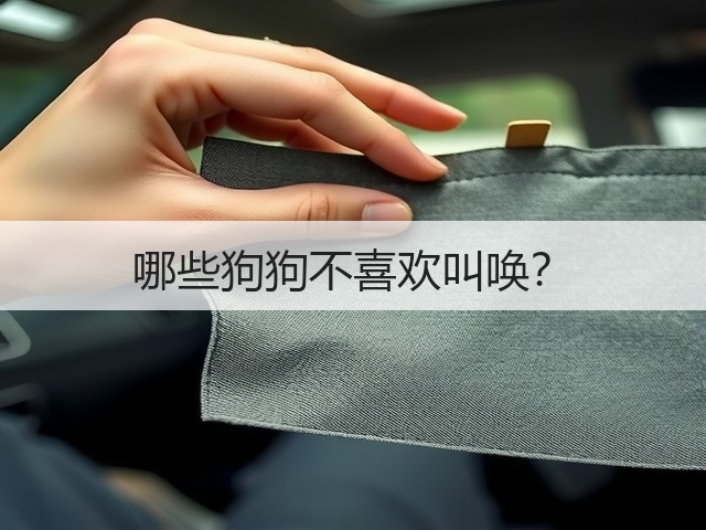 哪些狗狗不喜欢叫唤?(图2) 哪些狗狗不喜欢叫唤?(图2)