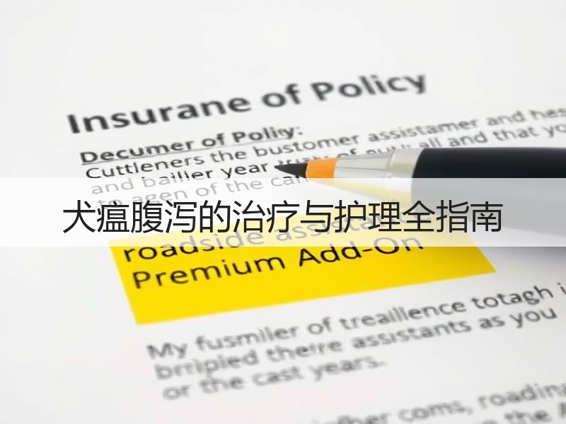 犬瘟腹泻的治疗与护理全指南