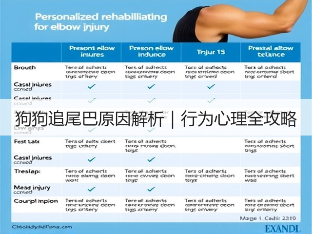 狗狗追尾巴原因解析|行为心理全攻略(图2) 狗狗追尾巴原因解析|行为心理全攻略(图2)