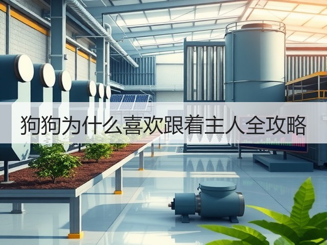 狗狗为什么喜欢跟着主人全攻略(图2) 狗狗为什么喜欢跟着主人全攻略(图2)