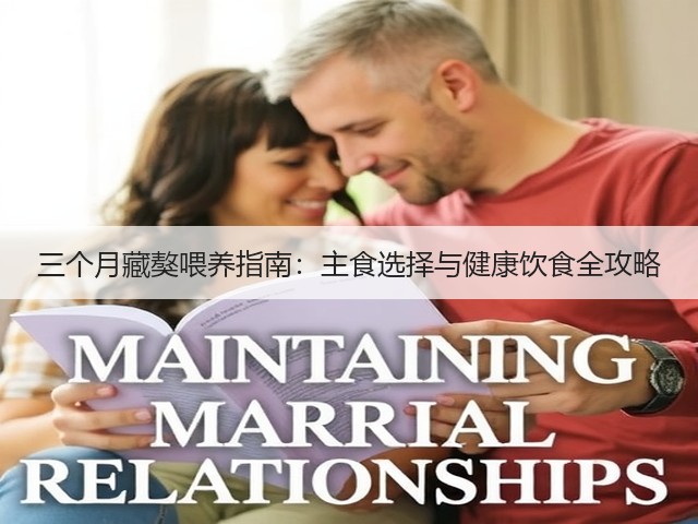 三个月藏獒喂养指南：主食选择与健康饮食全攻略(图2)