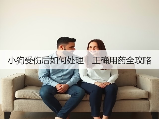 小狗受伤后如何处理|正确用药全攻略(图1) 小狗受伤后如何处理|正确用药全攻略(图1)