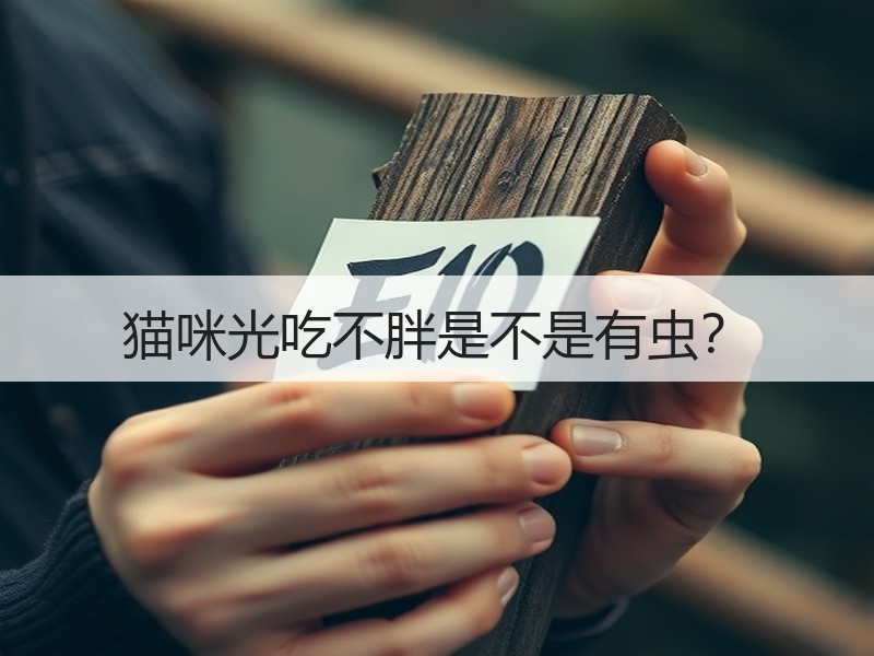 猫咪光吃不胖是不是有虫？