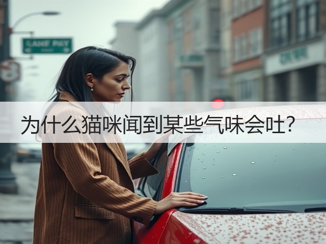 为什么猫咪闻到某些气味会吐?(图3) 为什么猫咪闻到某些气味会吐?(图3)