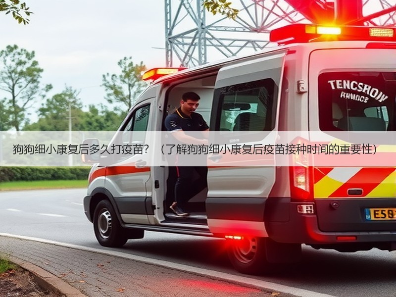 狗狗细小康复后多久打疫苗？（了解狗狗细小康复后疫苗接种时间的重要性）