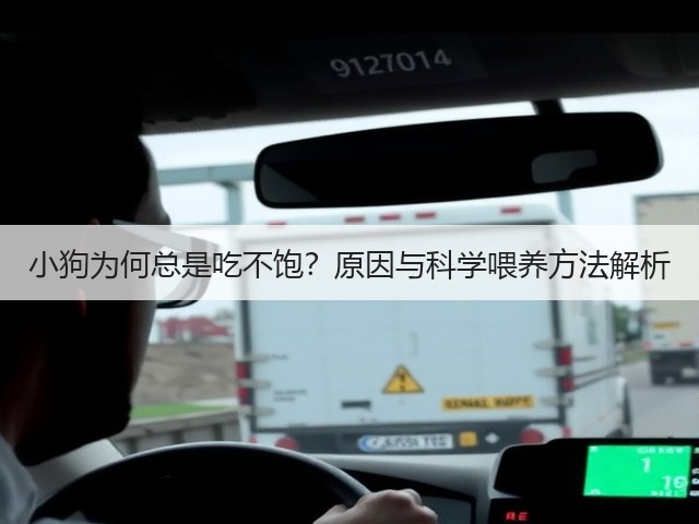 小狗为何总是吃不饱?原因与科学喂养方法解析(图1) 小狗为何总是吃不饱?原因与科学喂养方法解析(图1)
