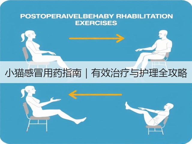 小猫感冒用药指南|有效治疗与护理全攻略(图1) 小猫感冒用药指南|有效治疗与护理全攻略(图1)