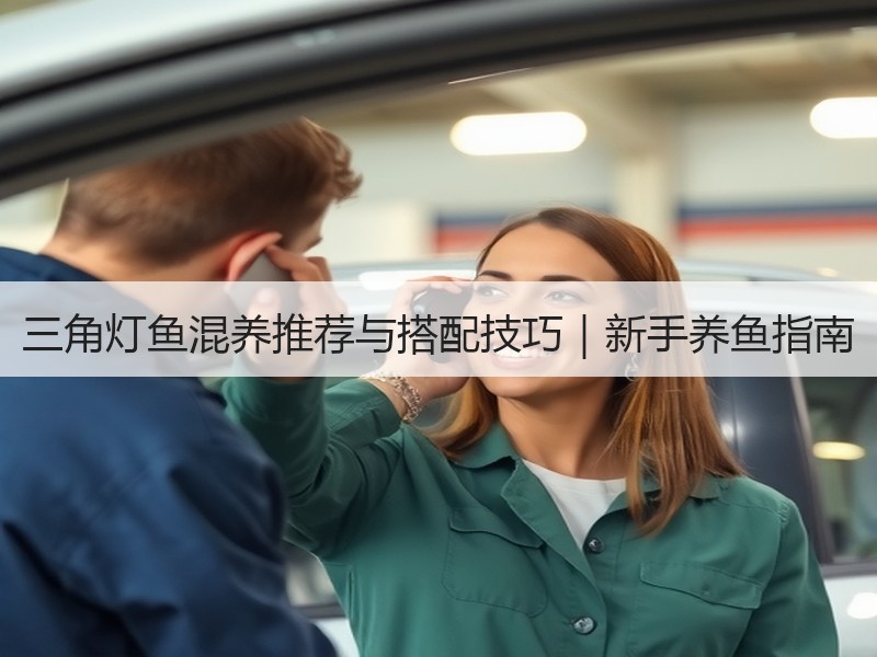 三角灯鱼混养推荐与搭配技巧｜新手养鱼指南