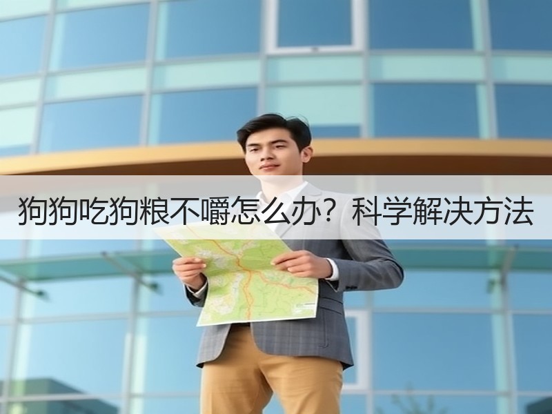 狗狗吃狗粮不嚼怎么办？科学解决方法