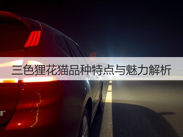 三色狸花猫品种特点与魅力解析(图2) 三色狸花猫品种特点与魅力解析(图2)