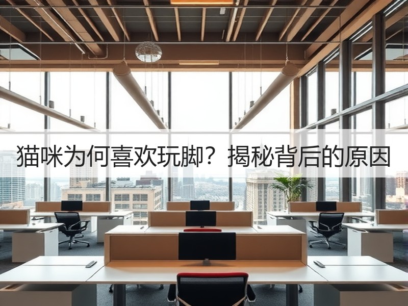 猫咪为何喜欢玩脚？揭秘背后的原因