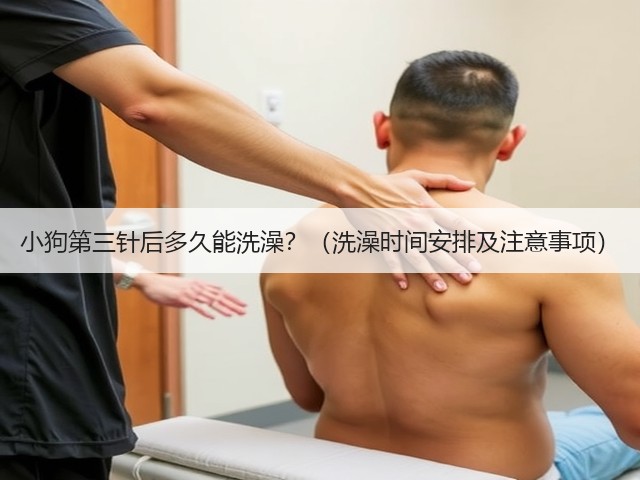 小狗第三针后多久能洗澡？（洗澡时间安排及注意事项）(图2)