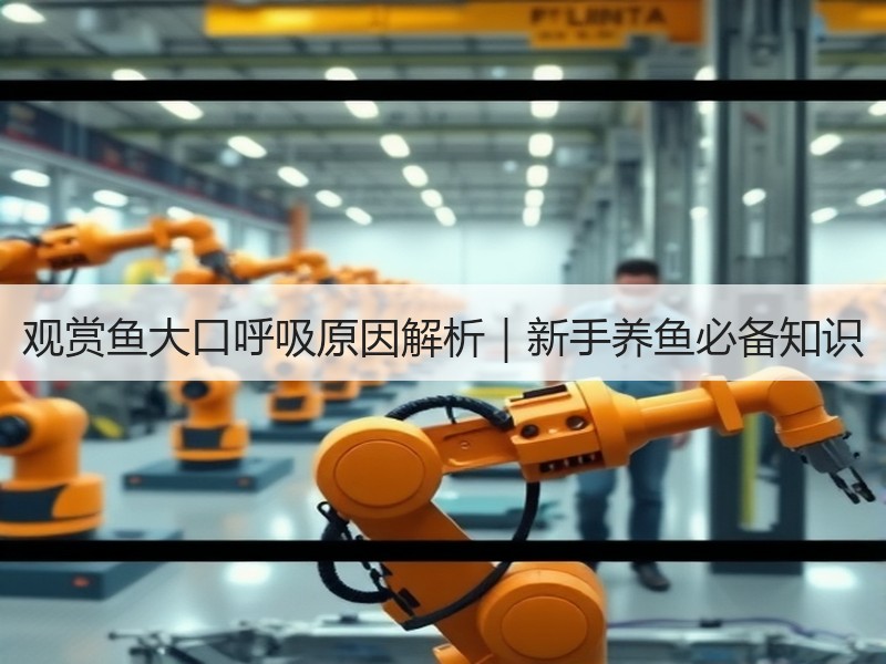 观赏鱼大口呼吸原因解析｜新手养鱼必备知识