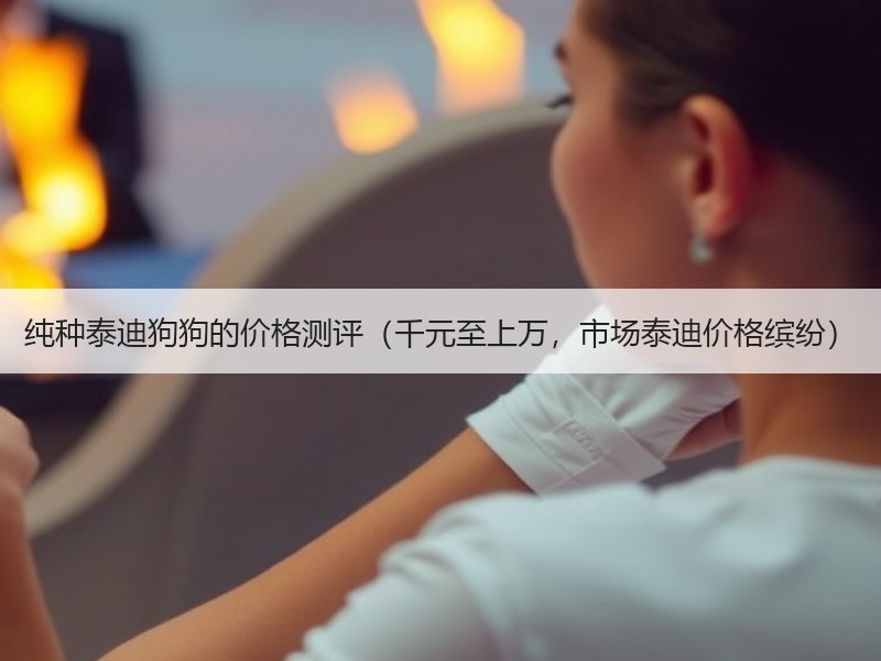 纯种泰迪狗狗的价格测评（千元至上万，市场泰迪价格缤纷）
