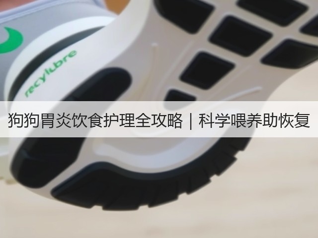 狗狗胃炎饮食护理全攻略|科学喂养助恢复(图1) 狗狗胃炎饮食护理全攻略|科学喂养助恢复(图1)